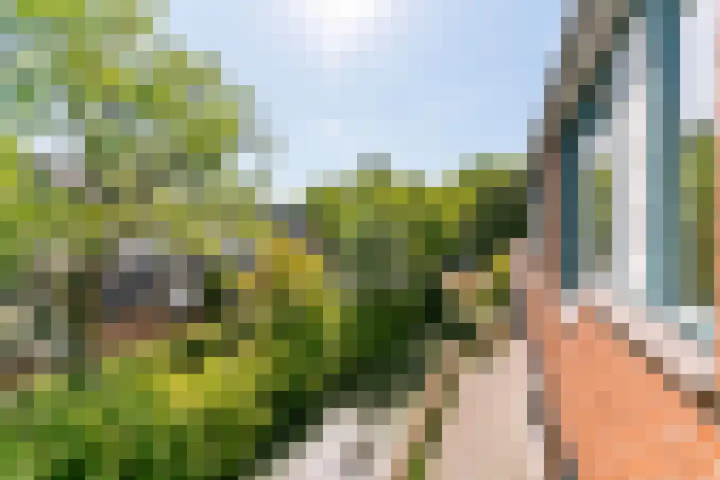 Stuifzwam 38 Alphen aan den Rijn thumbnail 22