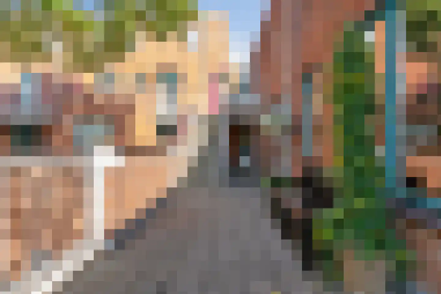 Stuifzwam 38 Alphen aan den Rijn thumbnail 24