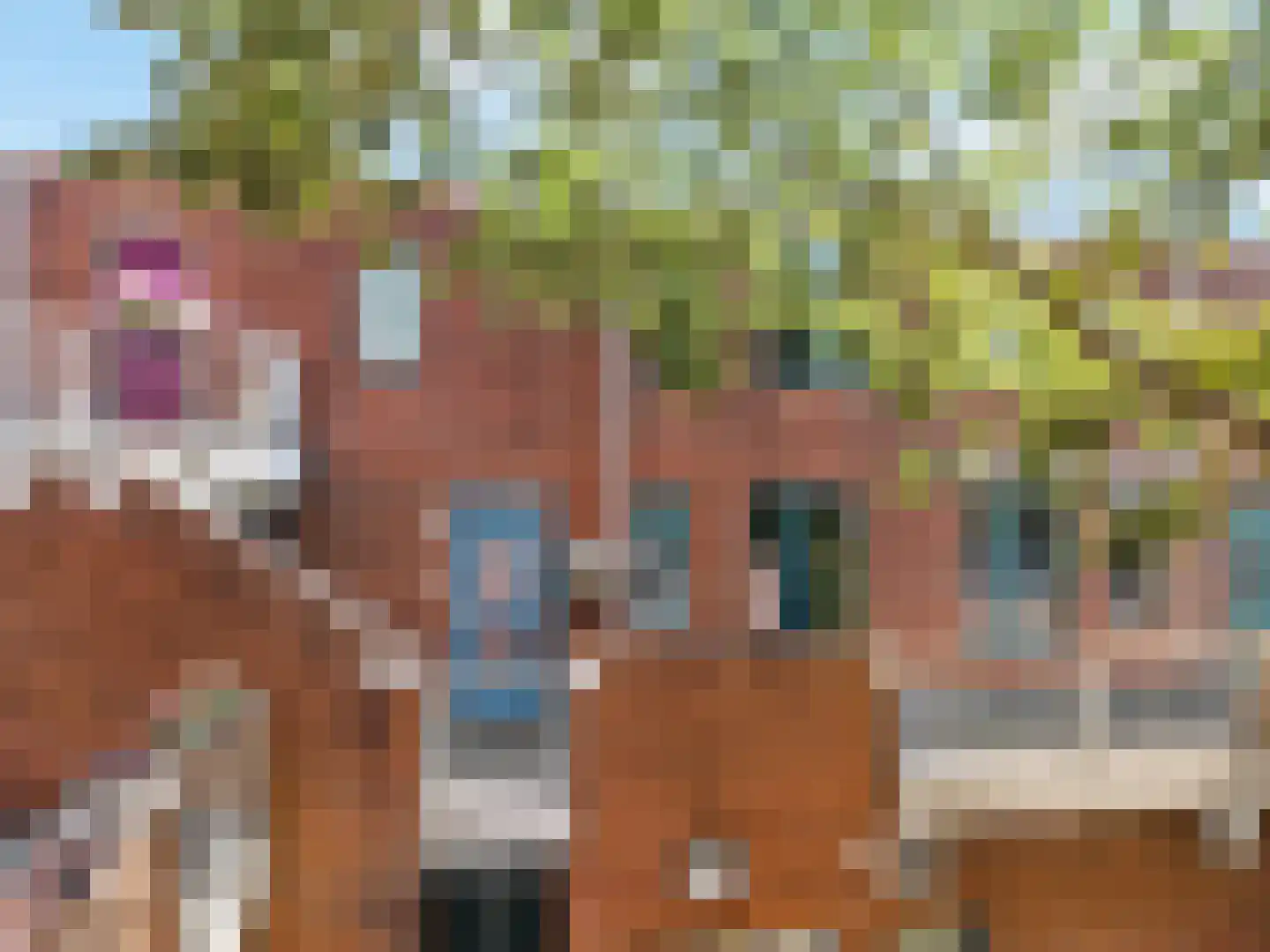 Stuifzwam 38 Alphen aan den Rijn thumbnail 25