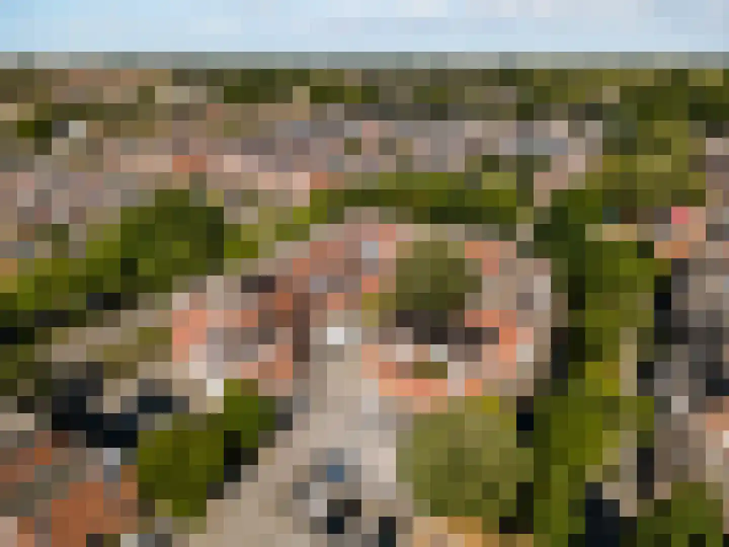 Stuifzwam 38 Alphen aan den Rijn thumbnail 28