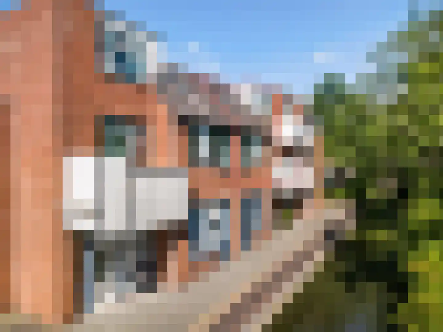 Stuifzwam 38 Alphen aan den Rijn thumbnail 5