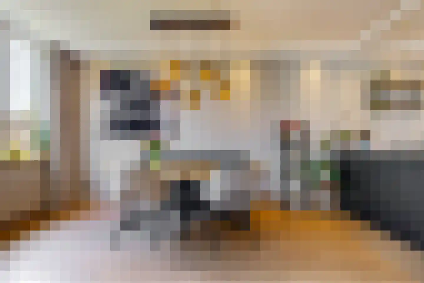 Stuifzwam 38 Alphen aan den Rijn thumbnail 7