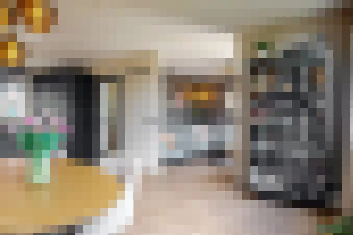 Stuifzwam 38 Alphen aan den Rijn thumbnail 8