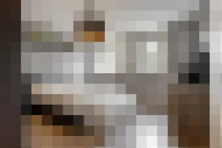 Stuifzwam 68 Alphen aan den Rijn thumbnail 14
