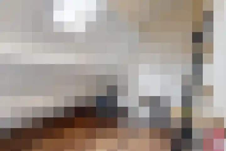 Stuifzwam 68 Alphen aan den Rijn thumbnail 16