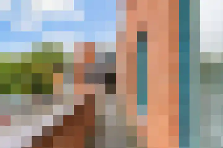 Stuifzwam 68 Alphen aan den Rijn thumbnail 25
