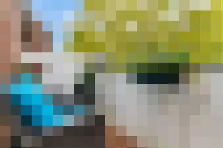 Stuifzwam 68 Alphen aan den Rijn thumbnail 5