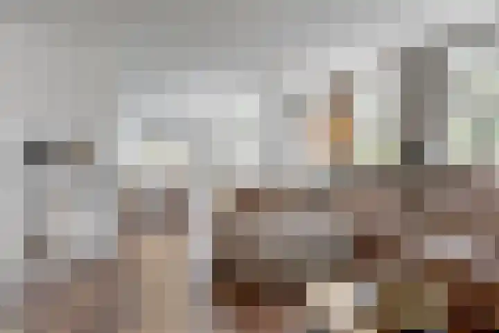 Stuifzwam 68 Alphen aan den Rijn thumbnail 6