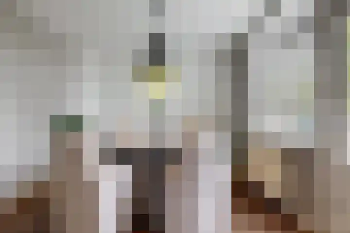 Stuifzwam 68 Alphen aan den Rijn thumbnail 8