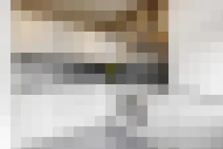 Stuifzwam 68 Alphen aan den Rijn thumbnail 9