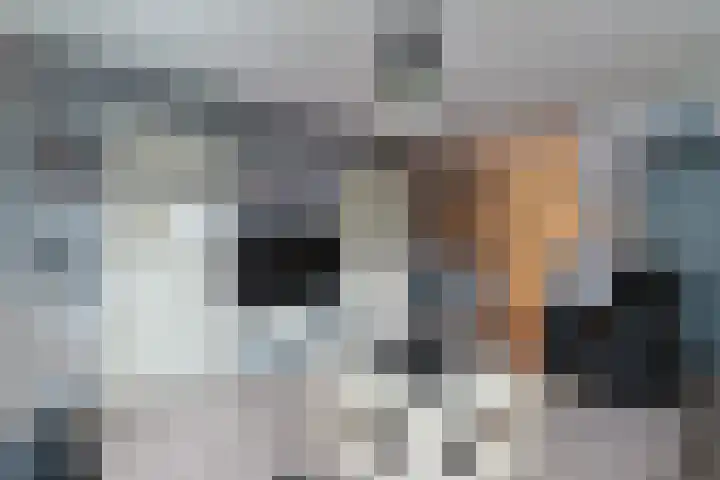 Stuifzwam 78 Alphen aan den Rijn thumbnail 10