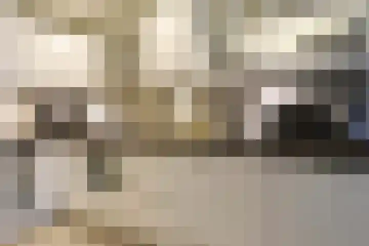 Stuifzwam 78 Alphen aan den Rijn thumbnail 14