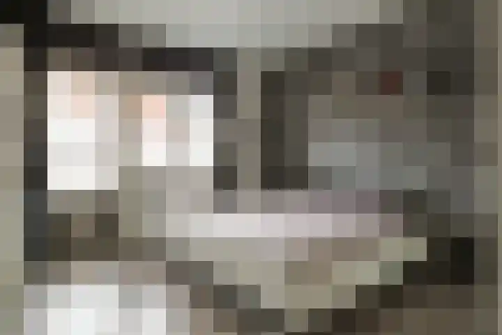 Stuifzwam 78 Alphen aan den Rijn thumbnail 20