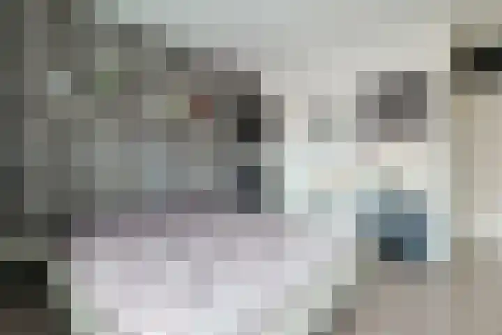 Stuifzwam 78 Alphen aan den Rijn thumbnail 21