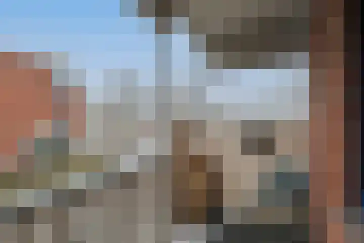 Stuifzwam 78 Alphen aan den Rijn thumbnail 29