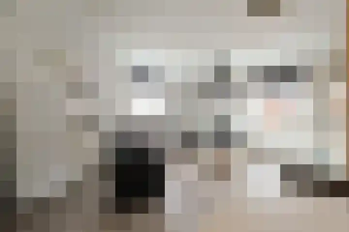 Stuifzwam 78 Alphen aan den Rijn thumbnail 7