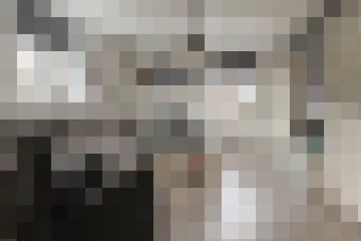 Stuifzwam 78 Alphen aan den Rijn thumbnail 8