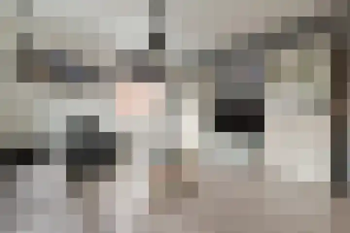 Stuifzwam 78 Alphen aan den Rijn thumbnail 9