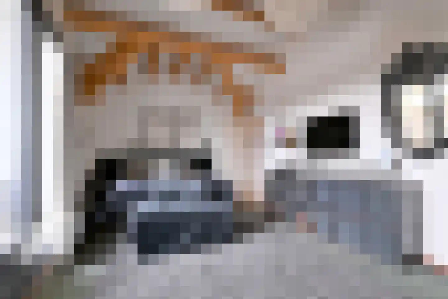 Stuijvenburchstraat 32 C Eerbeek thumbnail 22