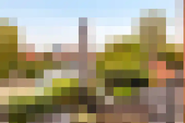 Stuijvenburchstraat 60 Eerbeek thumbnail 29