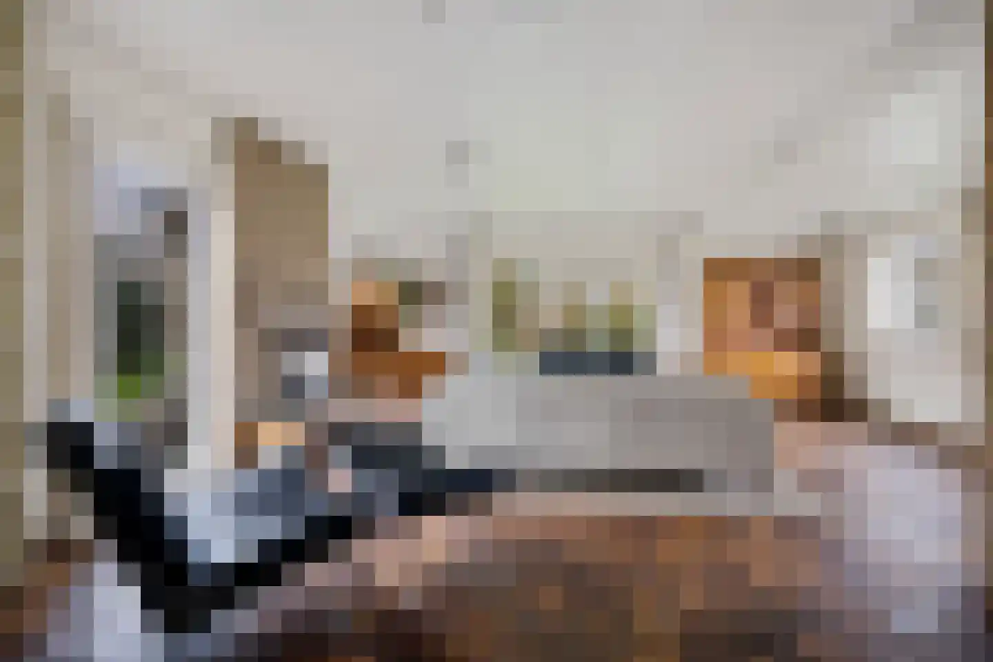 Stuijvezandeweg 26 Callantsoog thumbnail 10