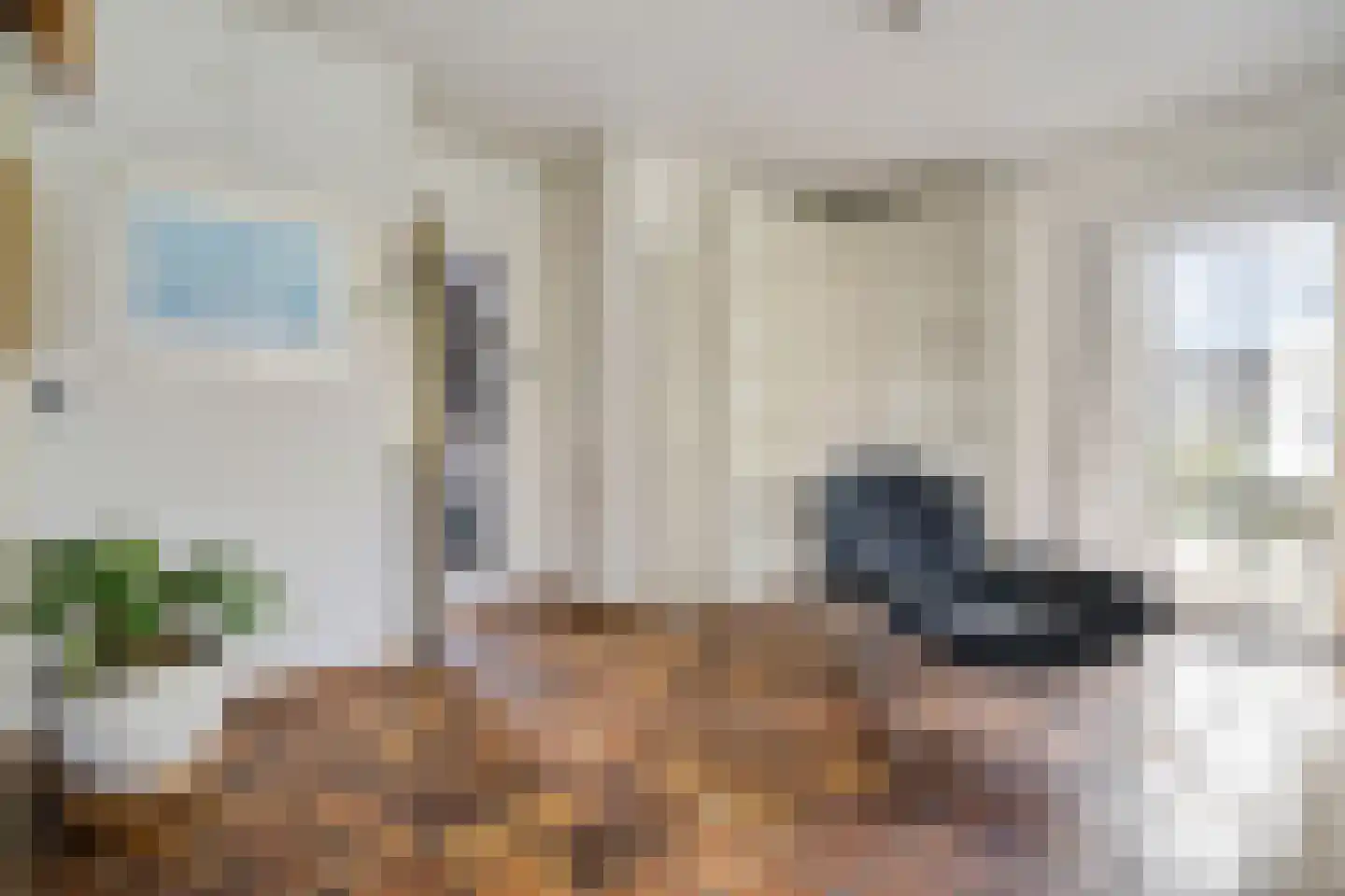 Stuijvezandeweg 26 Callantsoog thumbnail 11