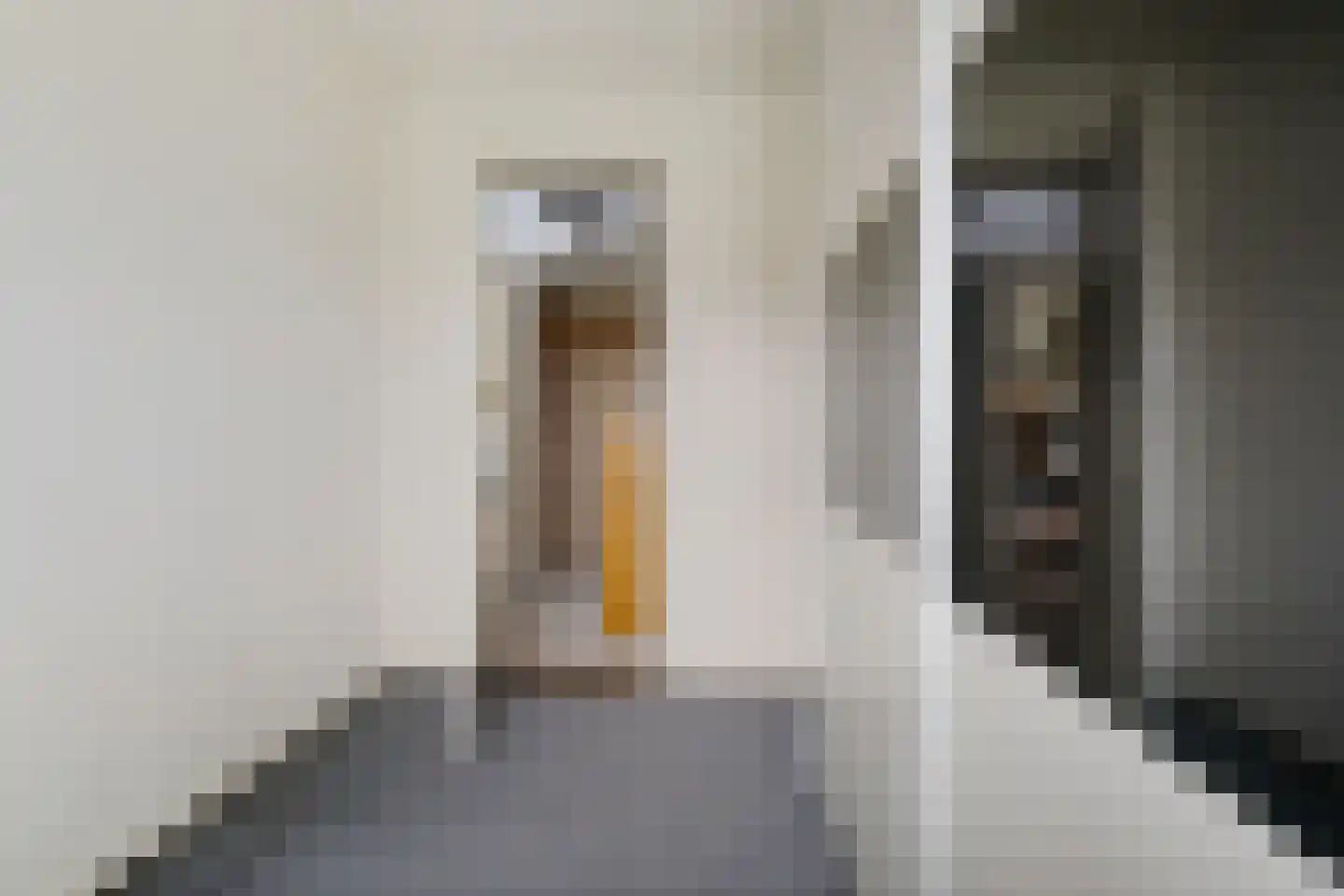 Stuijvezandeweg 26 Callantsoog thumbnail 19