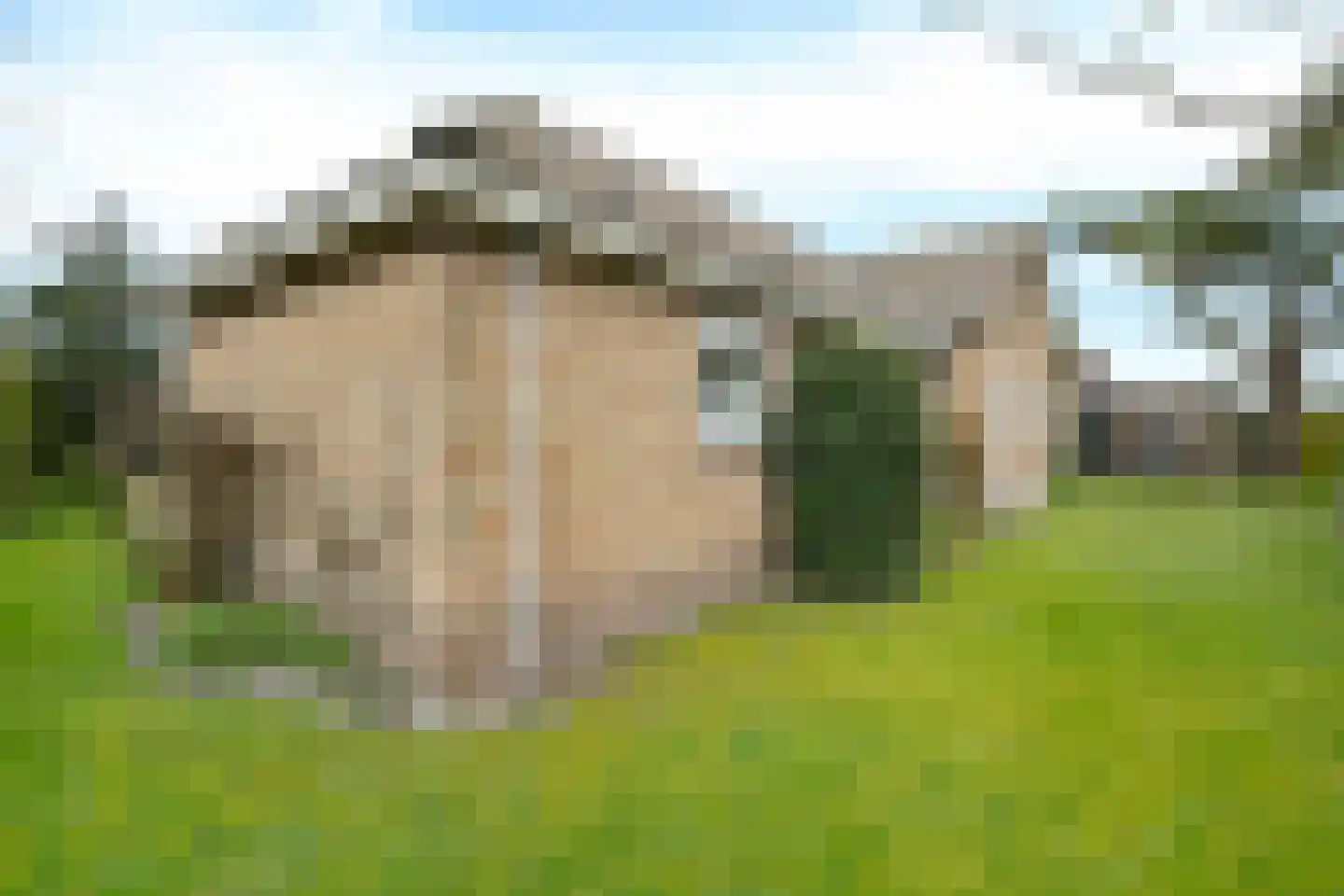 Stuijvezandeweg 26 Callantsoog thumbnail 37