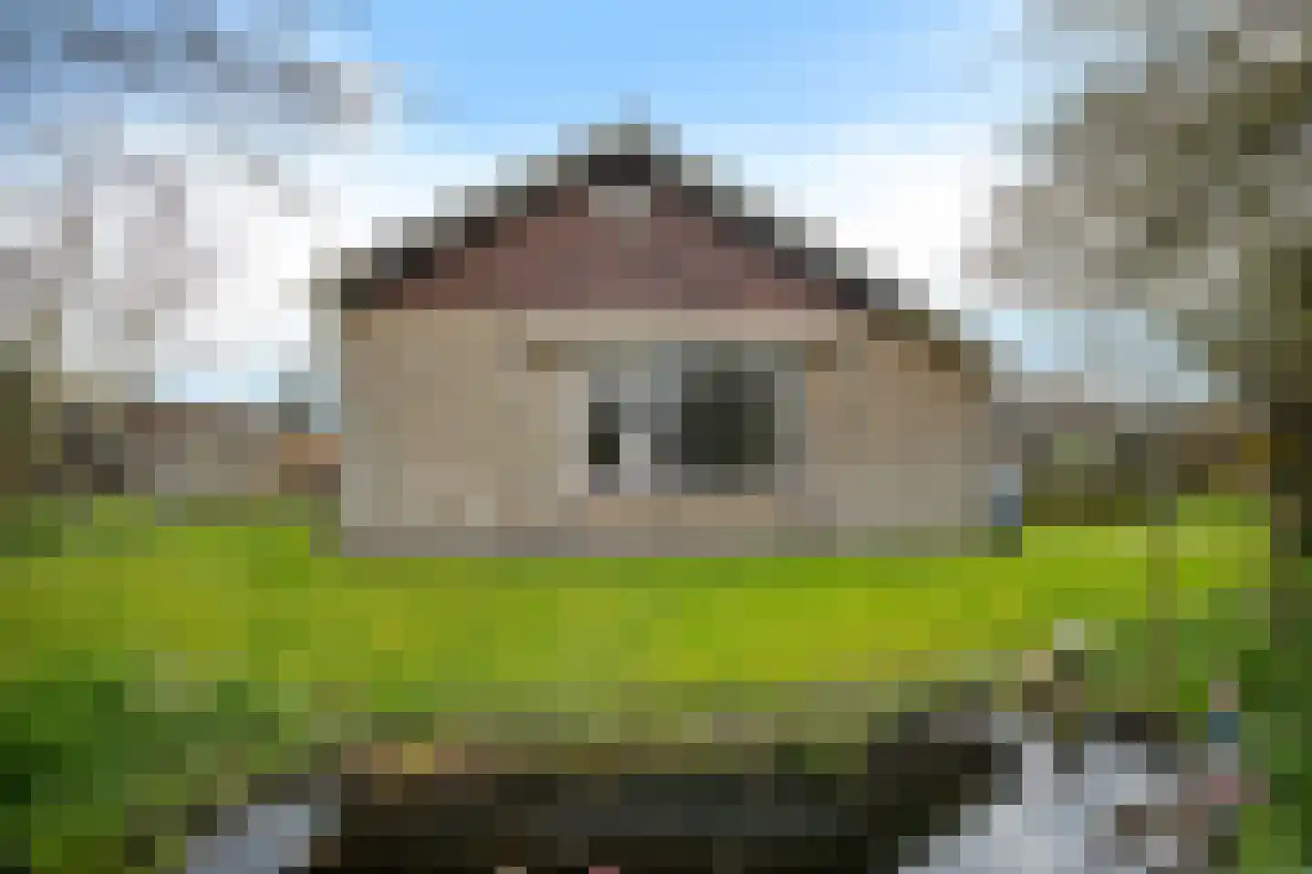 Stuijvezandeweg 26 Callantsoog thumbnail 38