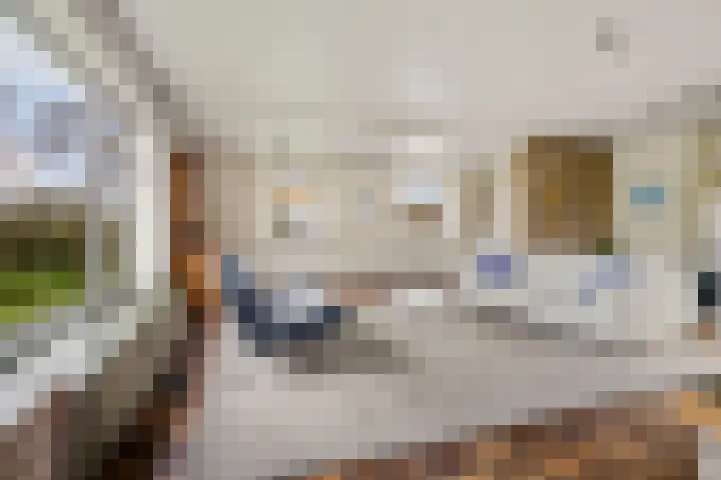 Stuijvezandeweg 26 Callantsoog thumbnail 8