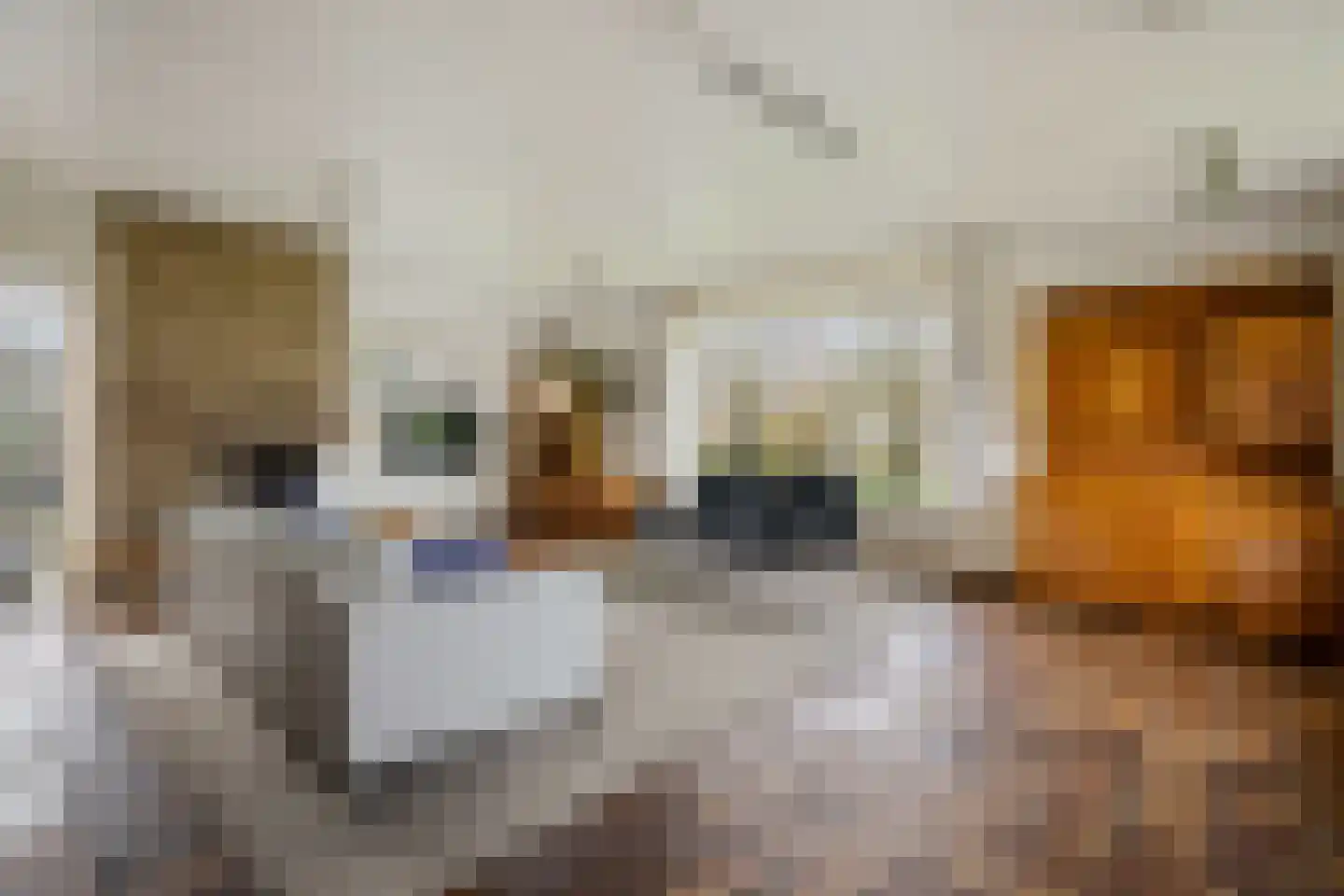Stuijvezandeweg 26 Callantsoog thumbnail 9