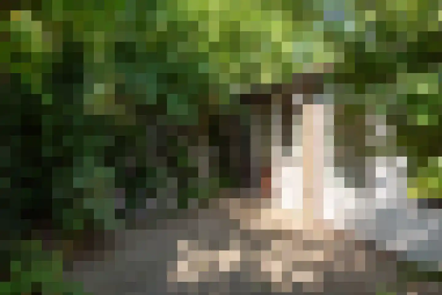 Stuijvezandeweg 43 Callantsoog thumbnail 31