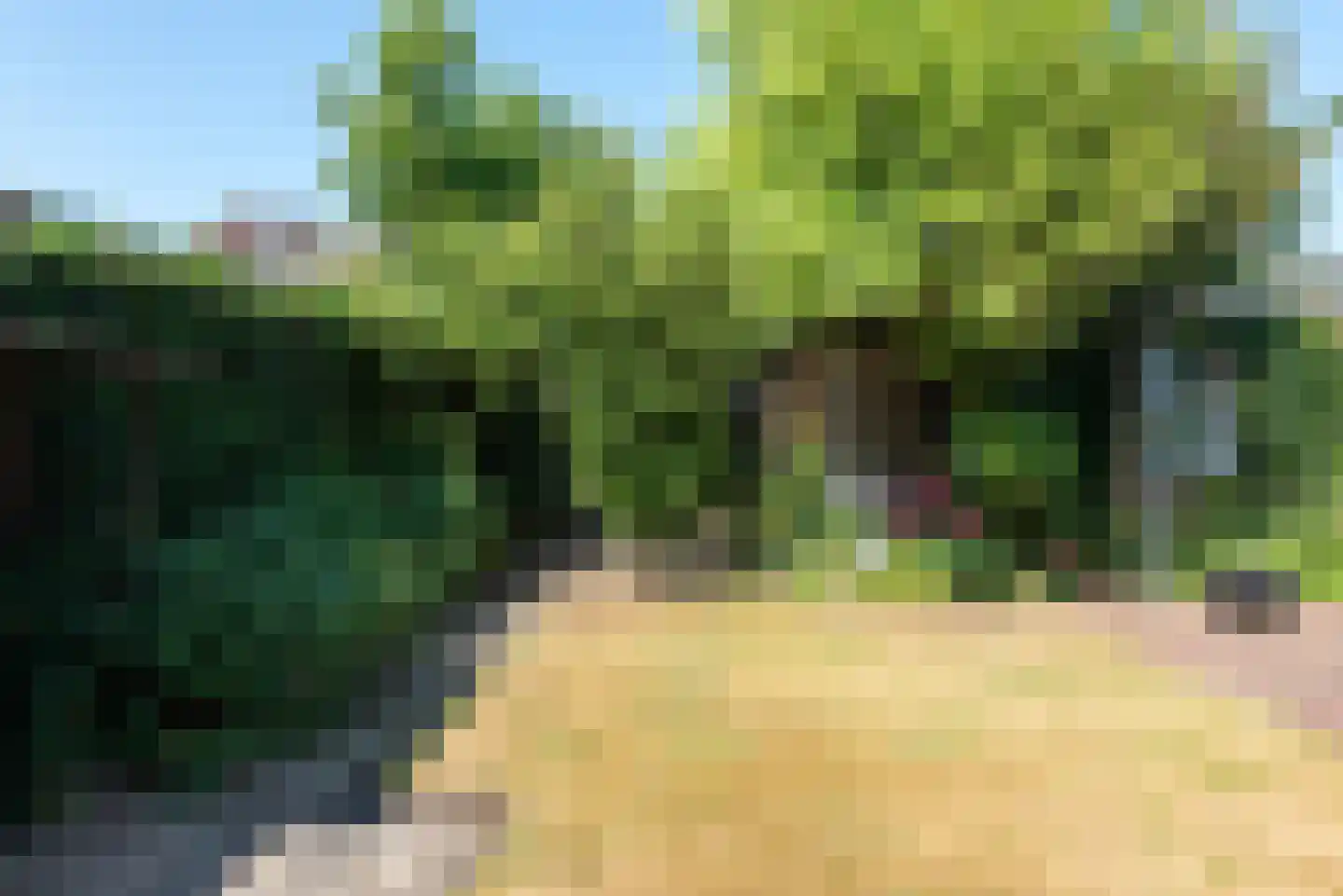Stuijvezandeweg 43 Callantsoog thumbnail 41