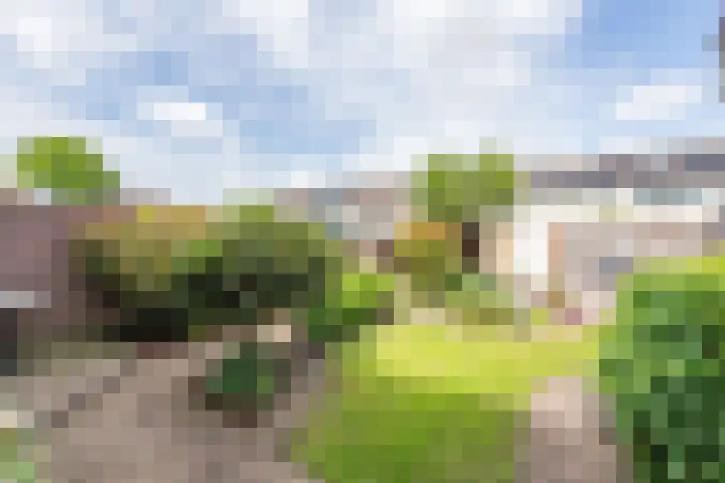 Stuimellaan 37 Sint Pancras thumbnail 36