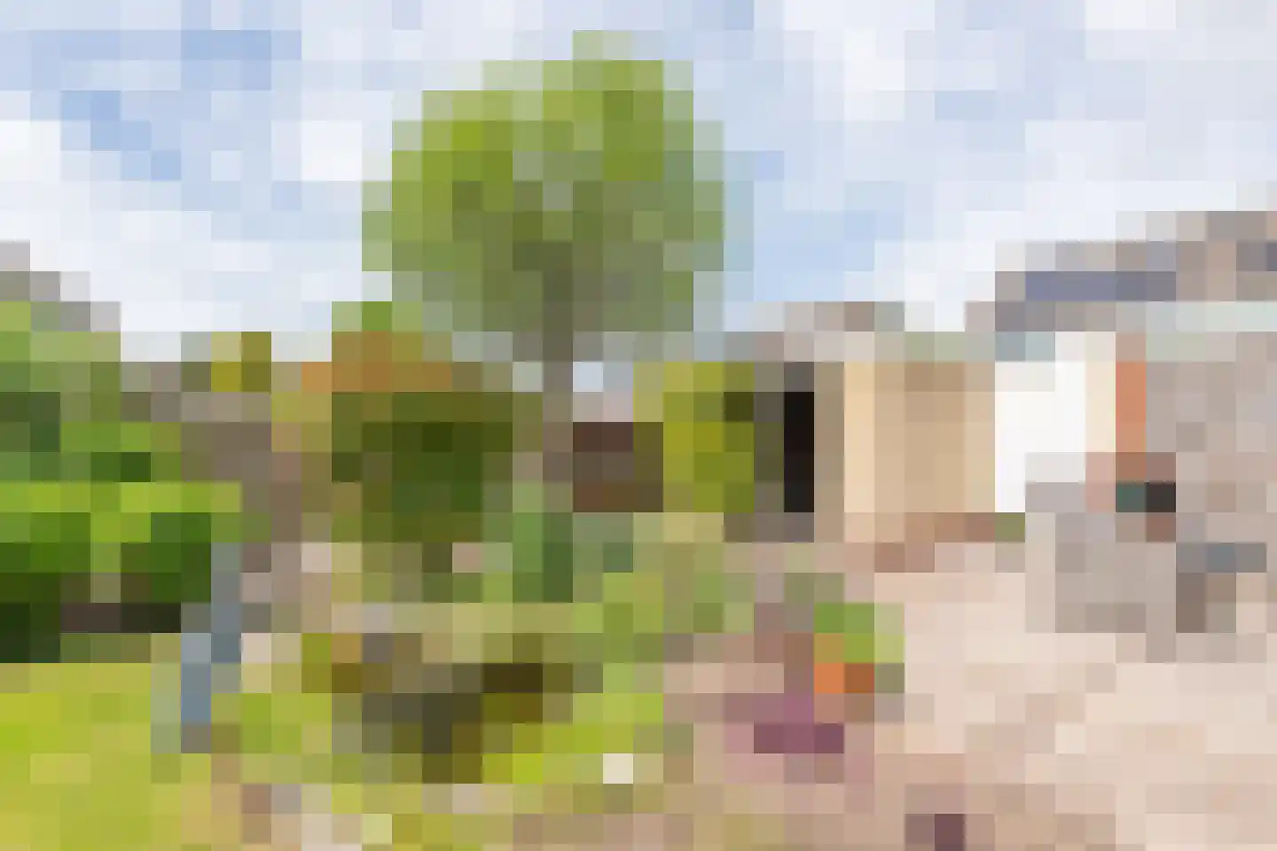 Stuimellaan 37 Sint Pancras thumbnail 38