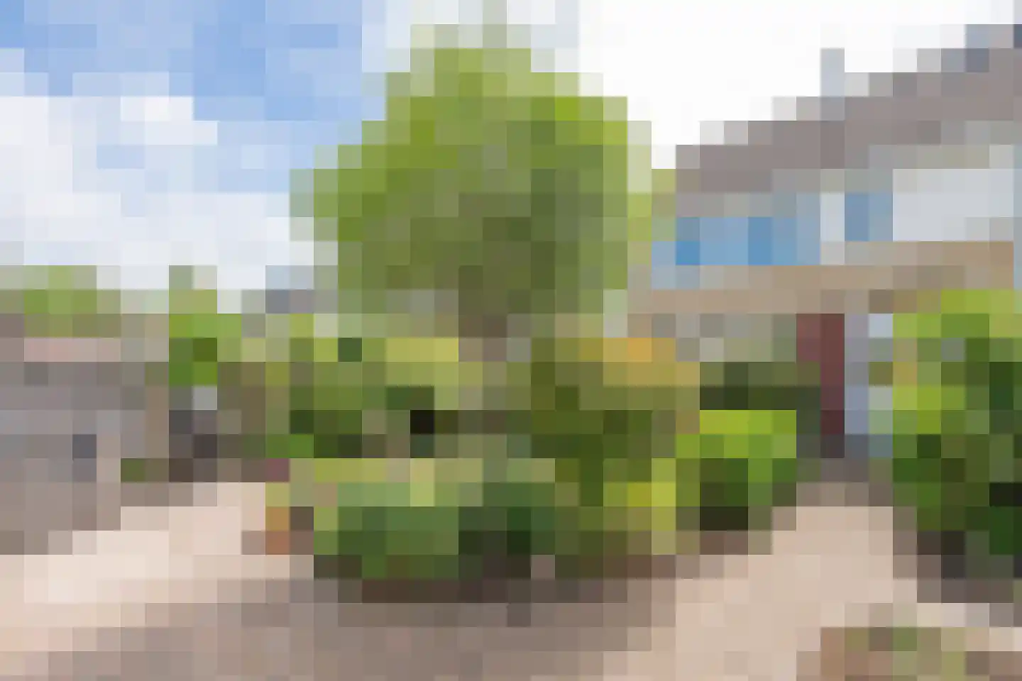 Stuimellaan 37 Sint Pancras thumbnail 44