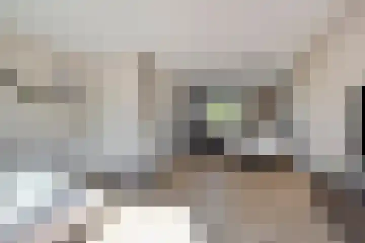 Stuivenbergheem 26 Veenendaal thumbnail 13