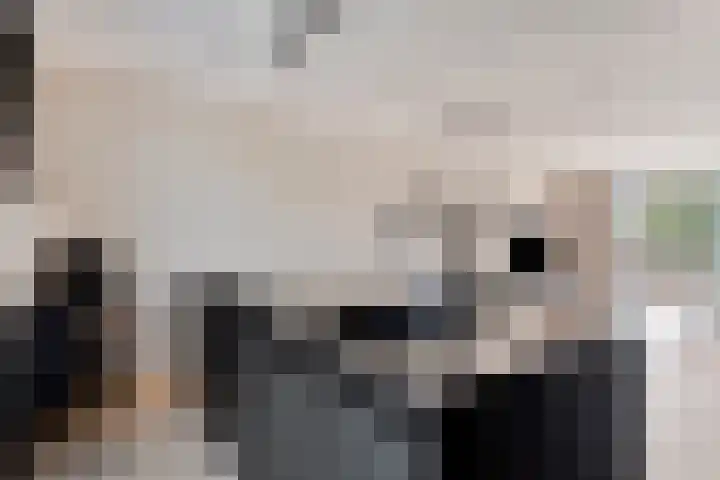 Stuivenbergheem 26 Veenendaal thumbnail 15