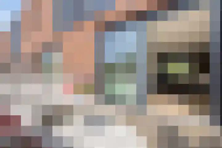 Stuivenbergheem 26 Veenendaal thumbnail 16
