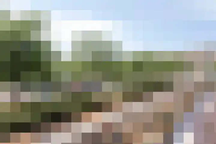 Stuivenbergheem 26 Veenendaal thumbnail 17