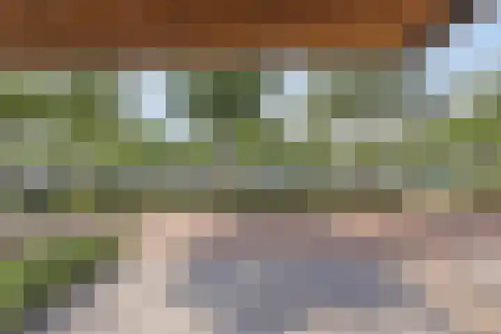 Stuivenbergheem 26 Veenendaal thumbnail 25