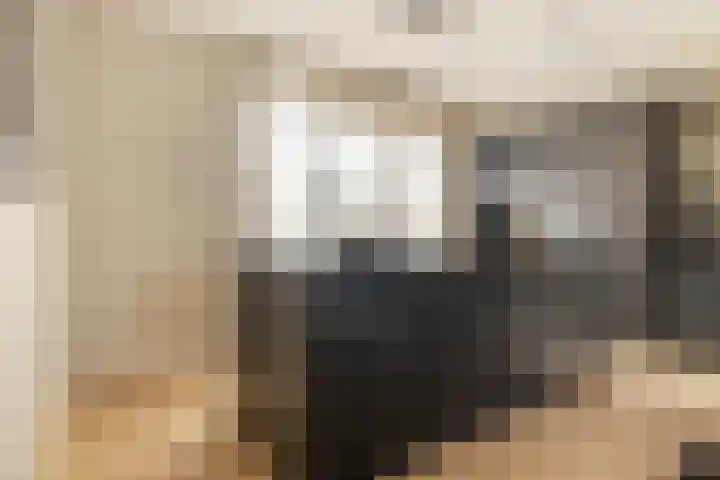 Stuivenbergheem 28 Veenendaal thumbnail 21