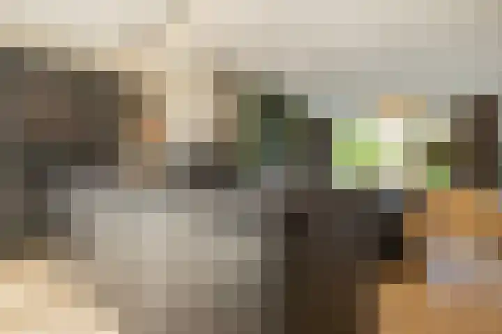 Stuivenbergheem 28 Veenendaal thumbnail 22