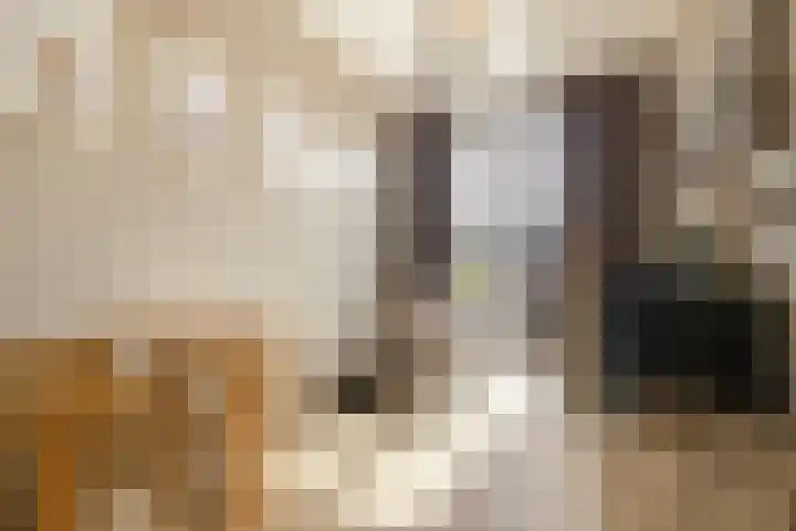 Stuivenbergheem 28 Veenendaal thumbnail 29
