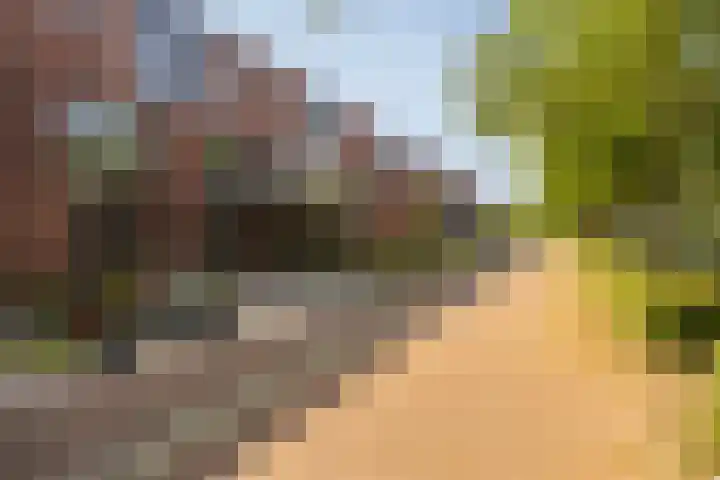 Stuivenbergheem 28 Veenendaal thumbnail 36