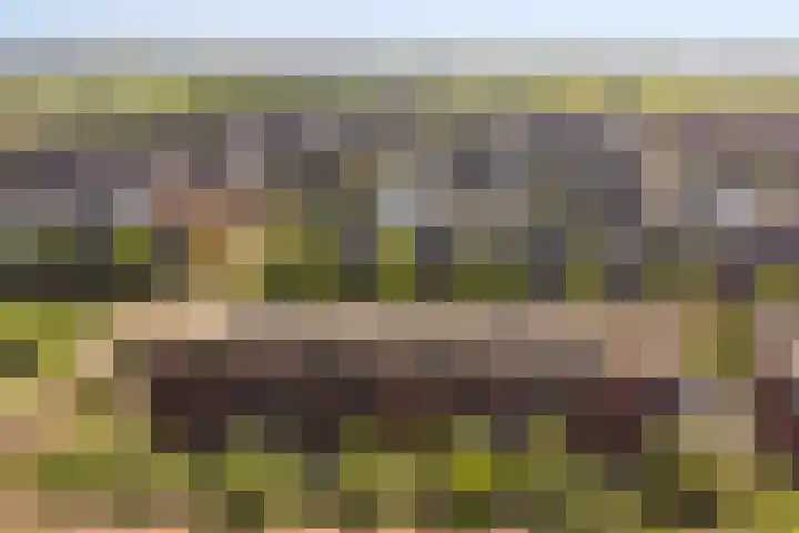 Stuivenbergheem 28 Veenendaal thumbnail 37