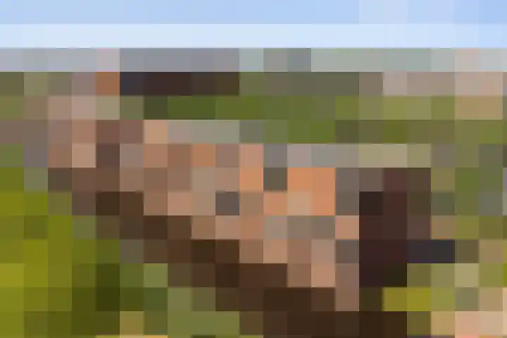 Stuivenbergheem 28 Veenendaal thumbnail 38