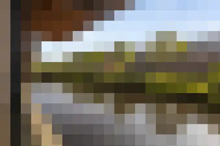Stuivenbergheem 28 Veenendaal thumbnail 9