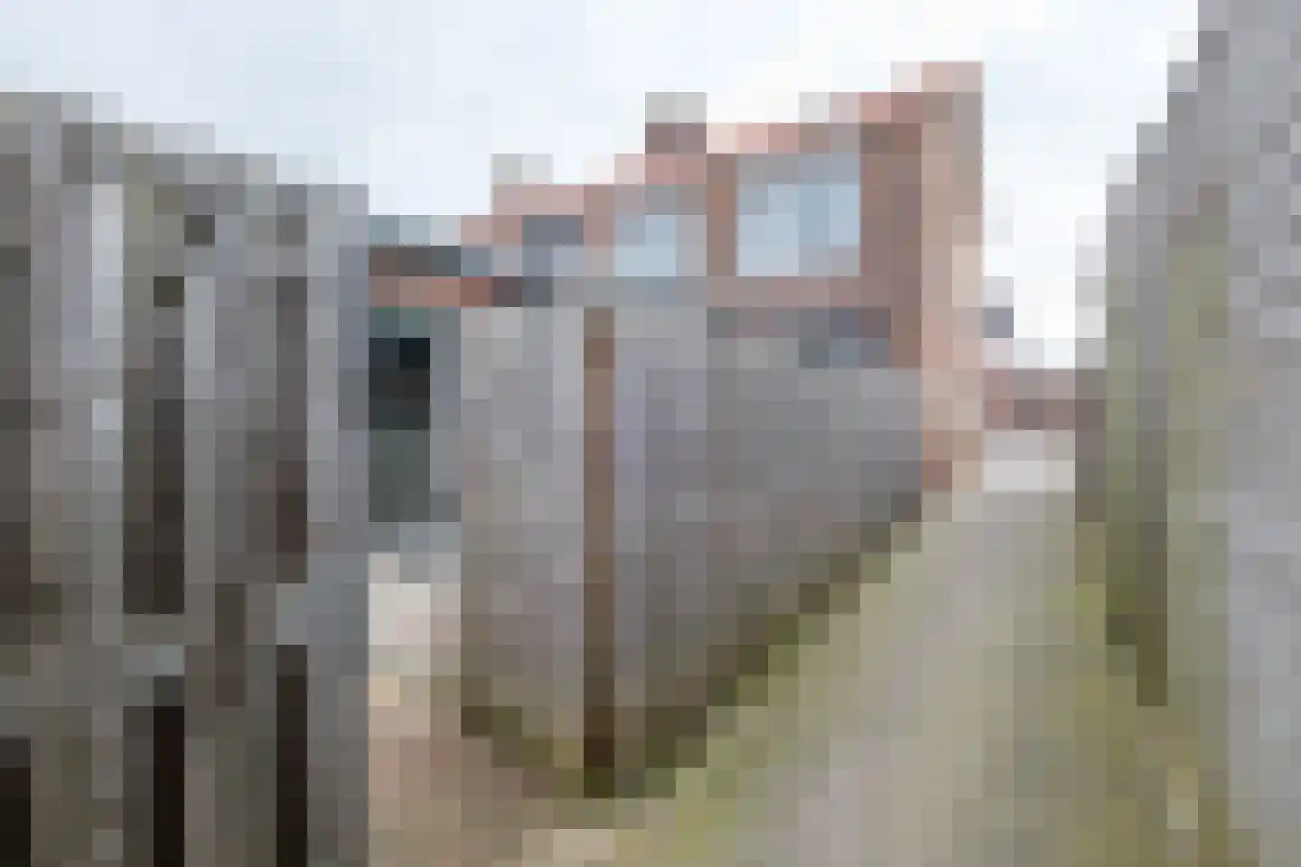 Stuivenbergstraat 28 Genemuiden thumbnail 38