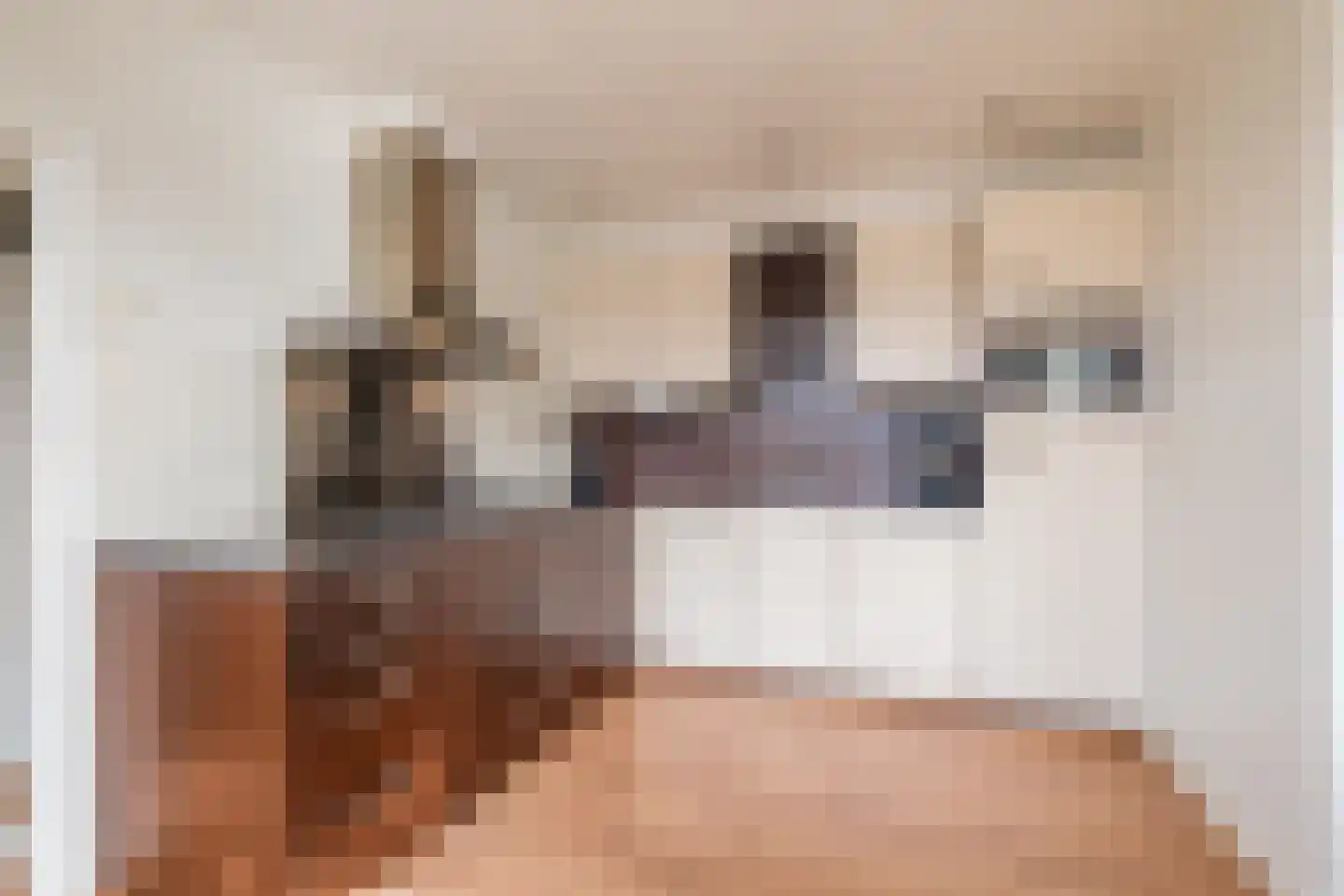 Stuivenbergstraat 62 Genemuiden thumbnail 16